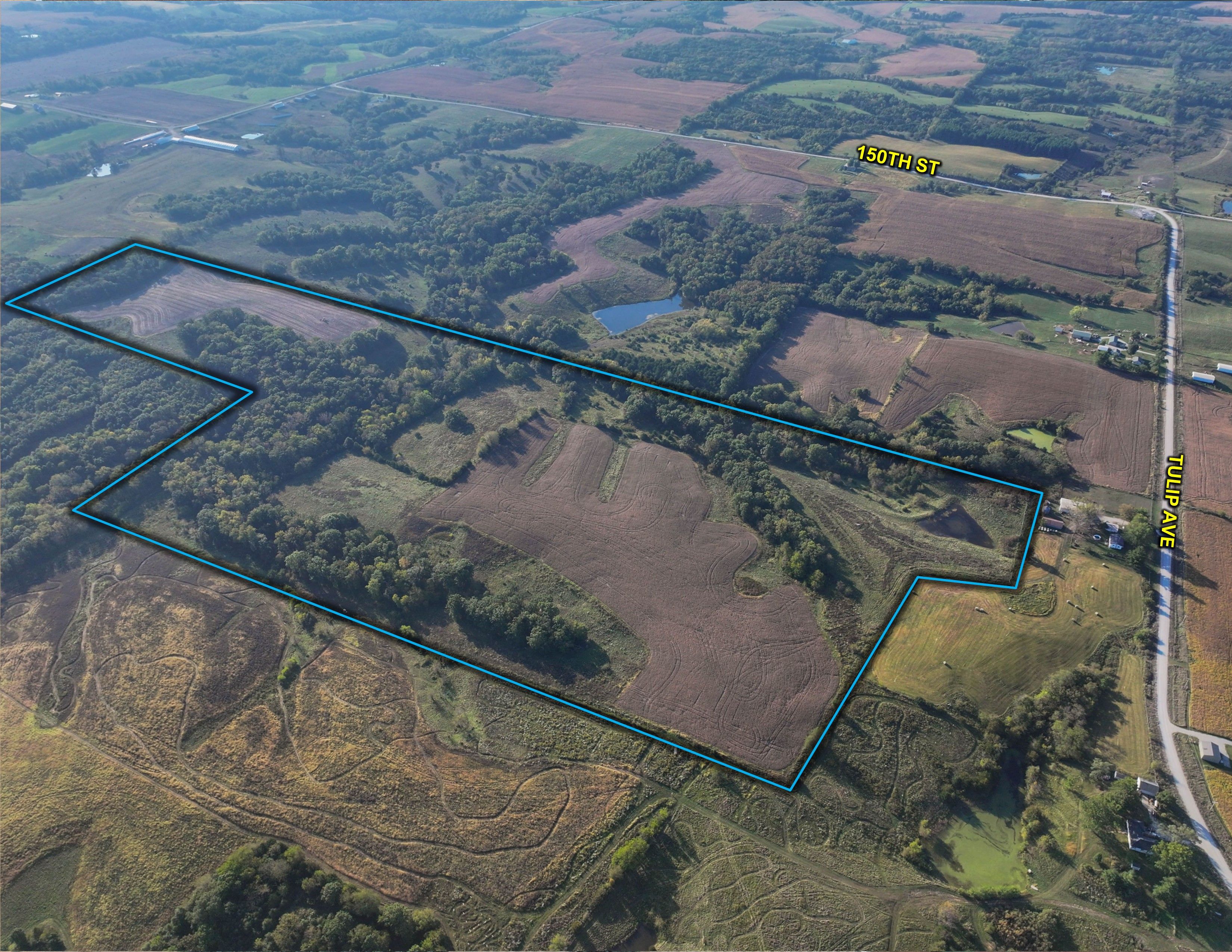 Listing Photo: Edit Wolfe 83